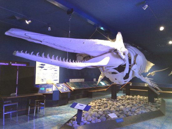 Natural History Museum